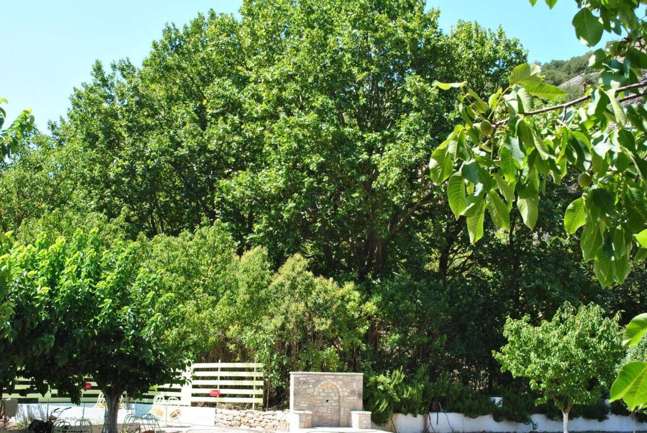 Guesthouse Eleftherios Kalavryta Exterior photo