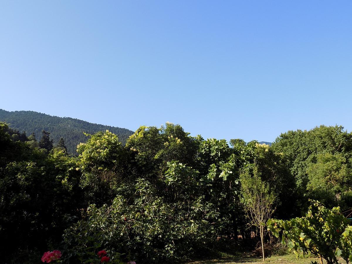 Guesthouse Eleftherios Kalavryta Exterior photo