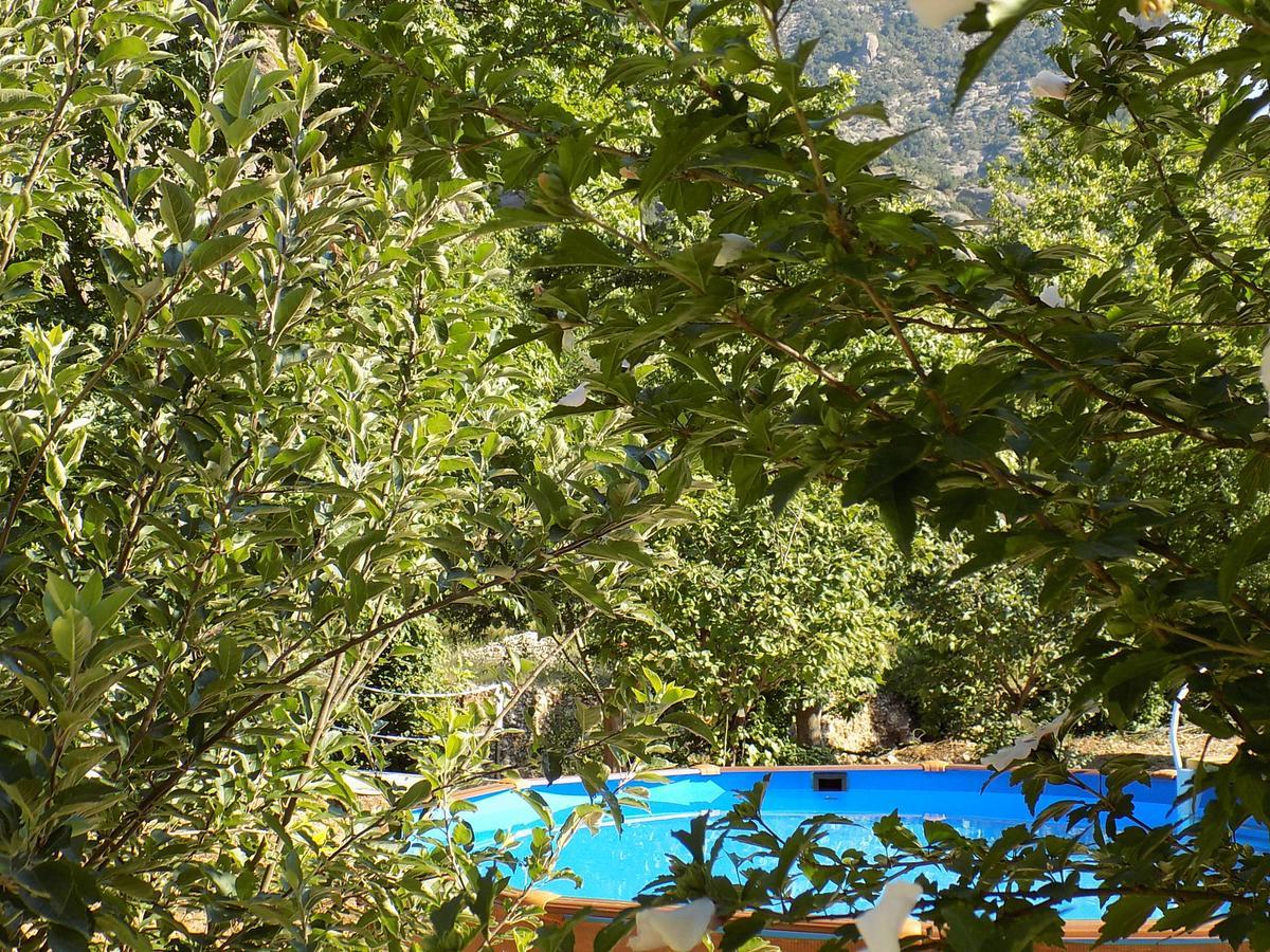Guesthouse Eleftherios Kalavryta Exterior photo